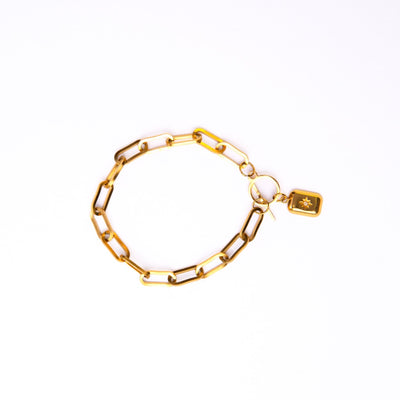 Gold Link Bracelet. Sparkles in the Light, With Each Movement. Beautiful and Elegant when matched with other bracelets. A must have for all!  18k gold plated on stainless steel. Length: 18CM This product is hypoallergenic and tarnish resistant. 